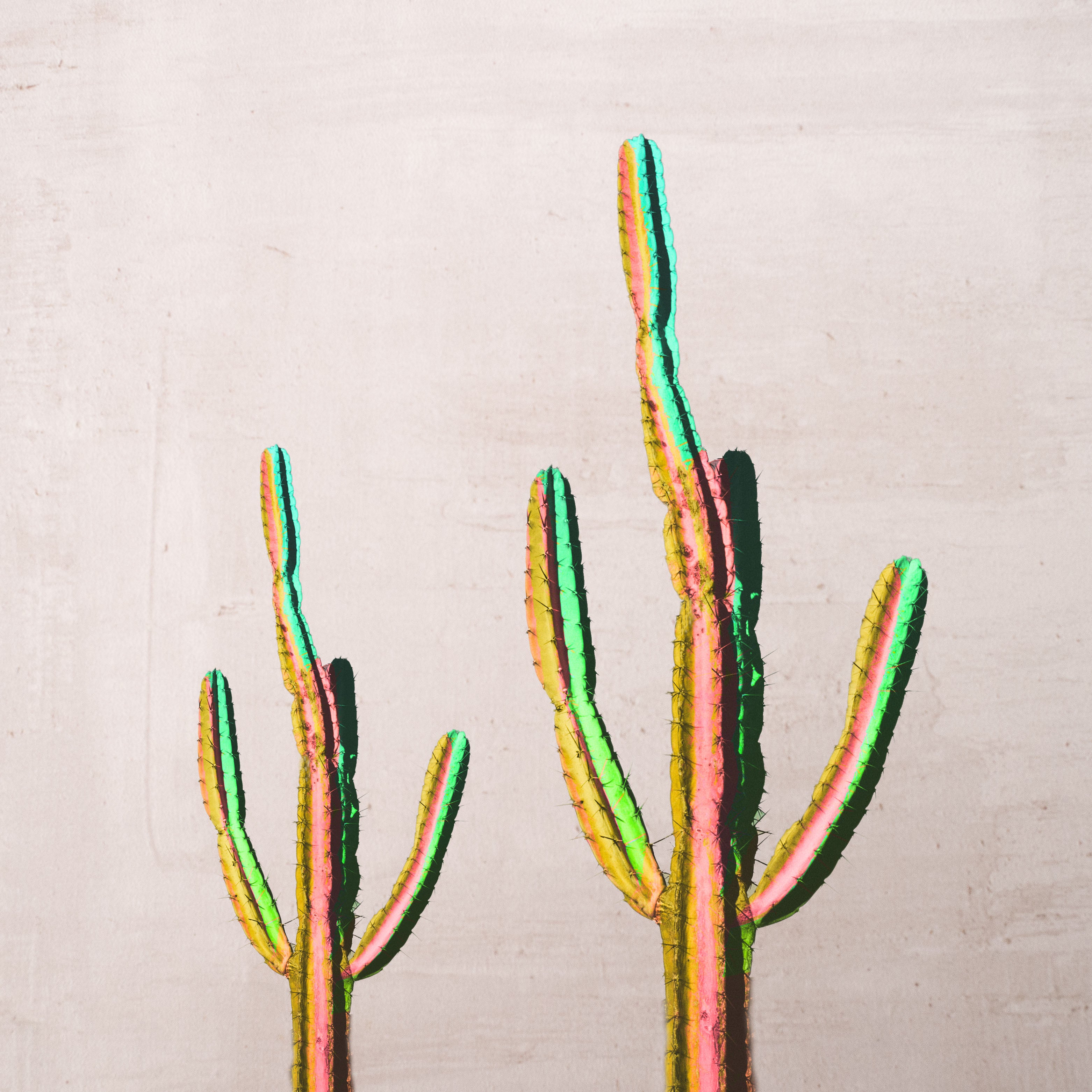 Decor