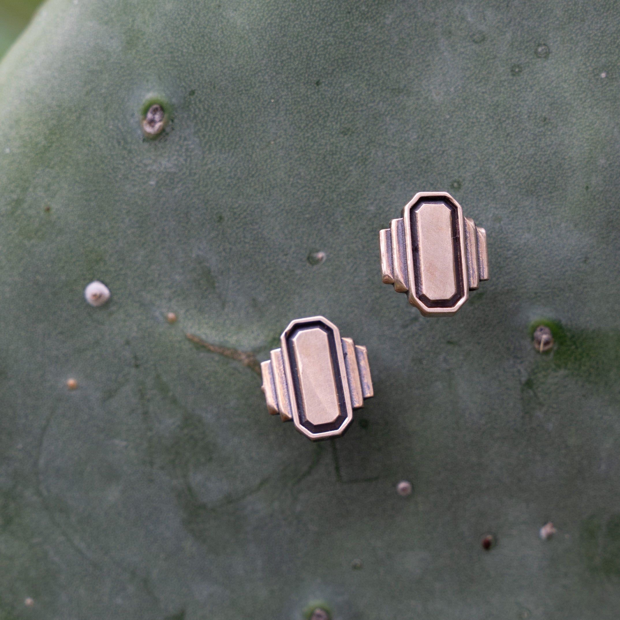 Jewel of Harmony Stud Earrings
