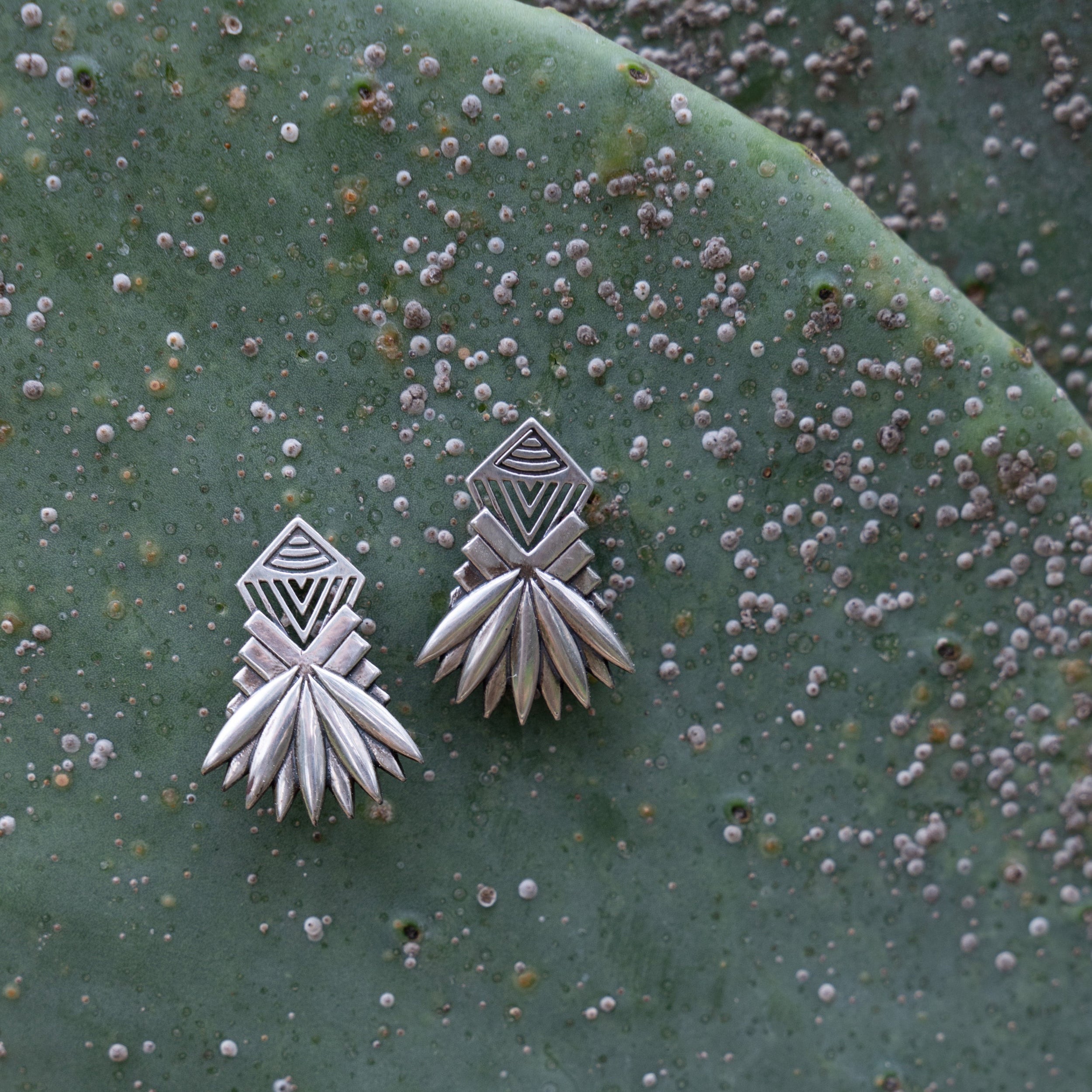 Force of Nature Stud Earrings