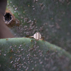 Jewel of Harmony Ring
